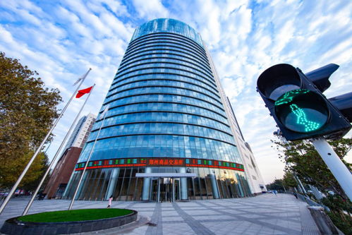 聚焦河南自贸五周年 自贸区政策赋能，郑商所将新设商品交易中心